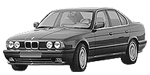 BMW E34 P251A Fault Code